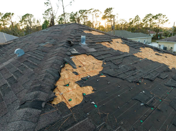 Best Green or Eco-Friendly Roofing Solutions  in North El Monte, CA